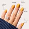 imageGlamnetic Press On Nails  Lime Green  Opaque Bright Neon Green Short Oval Fake Nails Reusable  15 Sizes  30 Nail KitSunset Orange