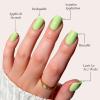 imageGlamnetic Press On Nails  Periwinkle  Short Almond Purple Glossy Lavender Fake Nails Reusable Spring Nails  15 Sizes  30 Nail Kit with GlueLight Sage