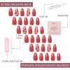imageGlamnetic Press On Nails  Periwinkle  Short Almond Purple Glossy Lavender Fake Nails Reusable Spring Nails  15 Sizes  30 Nail Kit with GlueLove Me