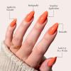 imageGlamnetic Press On Nails  Periwinkle  Short Almond Purple Glossy Lavender Fake Nails Reusable Spring Nails  15 Sizes  30 Nail Kit with GlueSoft Tangerine