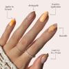imageGlamnetic Press On Nails  Sanded  Short Almond Nude Fake Nails with Raised Gold Shell Accents Reusable Summer Nails  15 Sizes  30 Nail Kit with Glue5Sunny Shores
