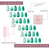 imageGlamnetic Press On Nails  Sanded  Short Almond Nude Fake Nails with Raised Gold Shell Accents Reusable Summer Nails  15 Sizes  30 Nail Kit with Glue9Siren Green