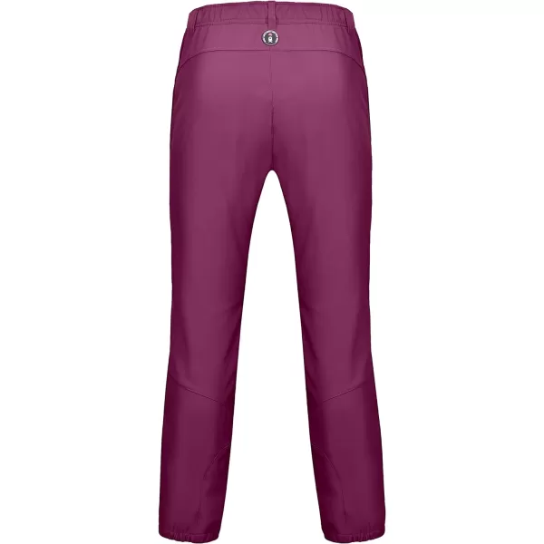 Little Donkey Andy Women's Hiking Ski Pants, Snowboarding Softshell Pants