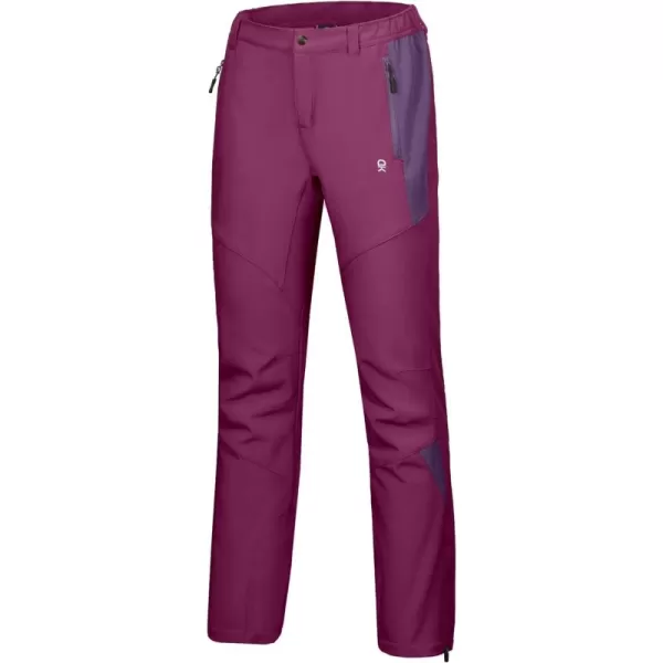 Little Donkey Andy Women's Hiking Ski Pants, Snowboarding Softshell Pants