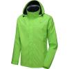 A15.fluorescent Green