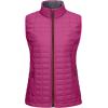 imageLittle Donkey Andy Womens Puffer Vest Lightweight Warm Sleeveless Jacket for Hiking Travel GolfRoseBlack