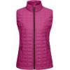 imageLittle Donkey Andy Womens Puffer Vest Lightweight Warm Sleeveless Jacket for Hiking Travel GolfRoseRose