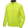 Fluorescent Yellow-hoodless