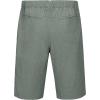 imageLittle Donkey Andy 12 Inch Inseam Golf Shorts for Men Bermuda Quick Dry Elastic Waist Shorts for Hiking Travel CasualA4 Green