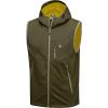 Hooded Olive