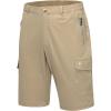 B Dark Khaki