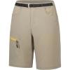 Light Khaki