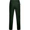 imageLittle Donkey Andy Mens UPF 50 Lightweight Quick Dry Hiking Pants with Zipper Pockets for Outdoor TravelGreen