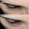 imageOlaplex Lashbond Building Serum Clear Eyelash Enhancing Serum for Natural Longer Healthier Thicker FullerLooking Lashes Daily Use Results in Little as 2 Weeks 015 fl oz