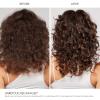 imageOlaplex No 4 Bond Maintenance Shampoo Repairs Strengthens ampamp Nourishes All Hair Types Adds Shine ampamp Leaves Hair Feeling Soft 85 fl oz85 Fl Oz Pack of 1
