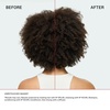 image:imageOlaplex N3PLUS Complete Repair Treatment 3minute Preshampoo Treatment to Immediately Repair Hair Damage for Softer Stronger Hair  For Coily Curly Straight and Wavy100 mL  33 Fl Oz  New