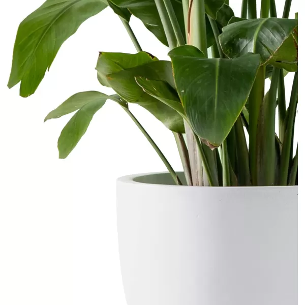 Kante 13.4" Dia Round Concrete Planter, Large Outdoor Modern Indoor Decorative Plant Pots with Drainage Hole and Rubber Plug for Home and Garden, Pure White