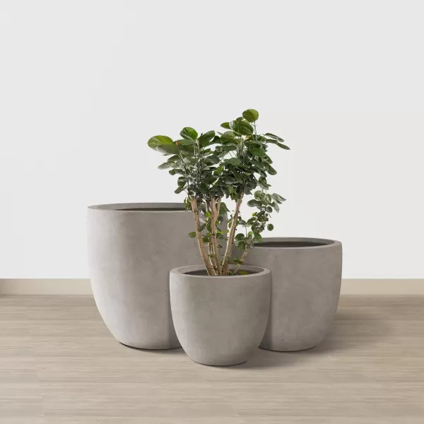 Kante 13.4" Dia Round Concrete Planter, Large Outdoor Modern Indoor Decorative Plant Pots with Drainage Hole and Rubber Plug for Home and Garden, Pure White