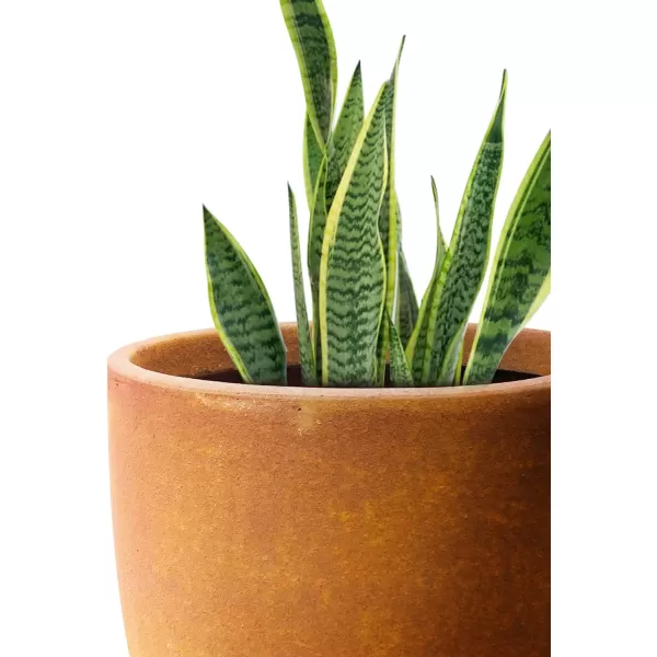 Kante 13.4" Dia Round Concrete Planter, Large Outdoor Modern Indoor Decorative Plant Pots with Drainage Hole and Rubber Plug for Home and Garden, Pure White