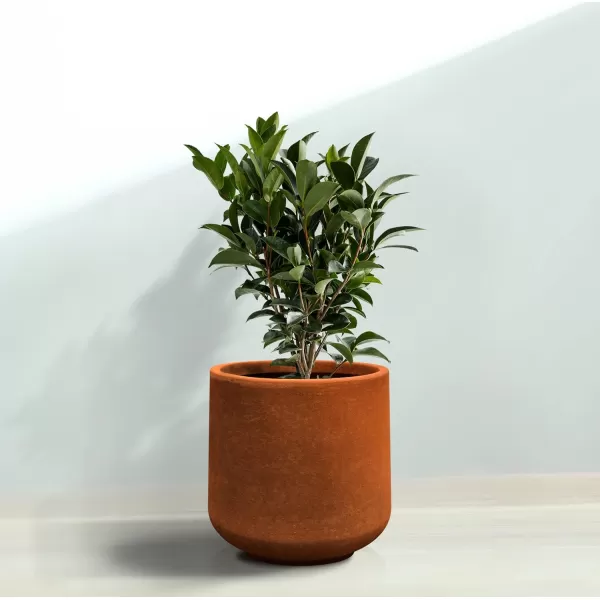 Kante 15.3" Dia Round Concrete Planter, Outdoor Indoor Large Plant Pots Containers with Drainage Hole and Rubber Plug for Home Garden Patio, Charcoal