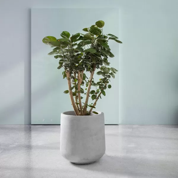 Kante 15.3" Dia Round Concrete Planter, Outdoor Indoor Large Plant Pots Containers with Drainage Hole and Rubber Plug for Home Garden Patio, Gray Concrete