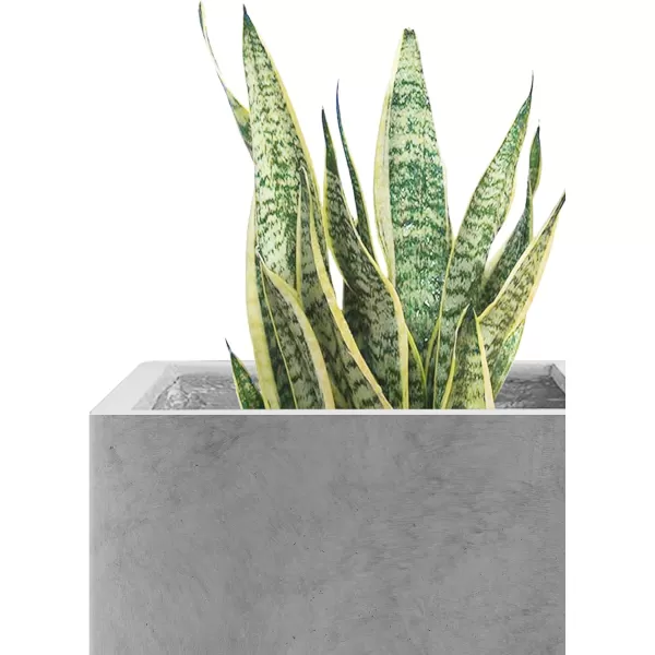 Kante 16 Inch Square Concrete Planter for Outdoor Indoor Home Patio Garden, Large Plant Pot with Drainage Hole and Rubber Plug, Charcoal