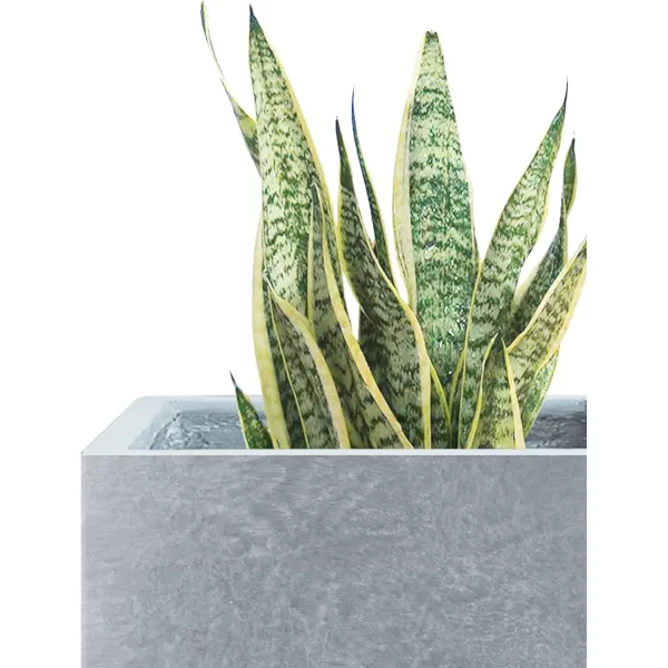 Kante 16 Inch Square Concrete Planter for Outdoor Indoor Home Patio Garden, Large Plant Pot with Drainage Hole and Rubber Plug, Charcoal