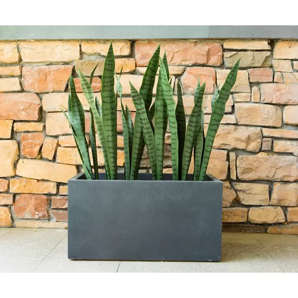 Kante 16 Inch Square Concrete Planter for Outdoor Indoor Home Patio Garden, Large Plant Pot with Drainage Hole and Rubber Plug, Charcoal