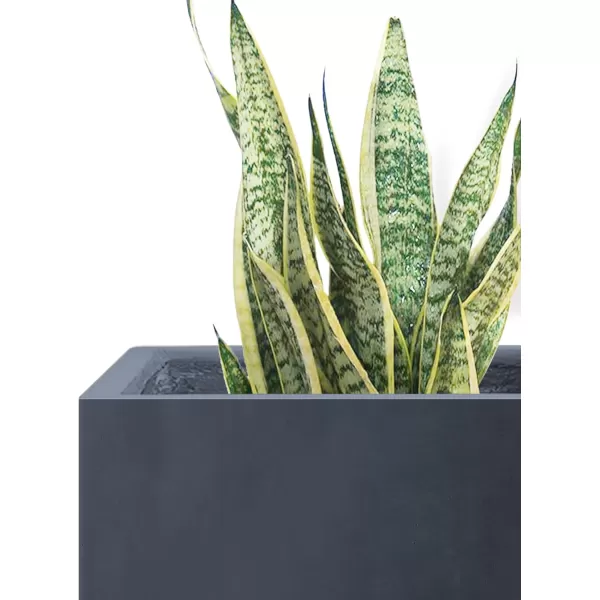 Kante 16 Inch Square Concrete Planter for Outdoor Indoor Home Patio Garden, Large Plant Pot with Drainage Hole and Rubber Plug, Charcoal