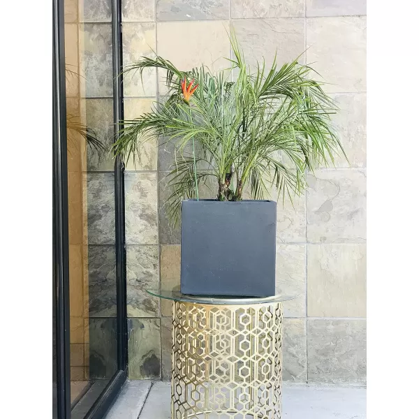 Kante 16 Inch Square Concrete Planter for Outdoor Indoor Home Patio Garden, Large Plant Pot with Drainage Hole and Rubber Plug, Charcoal