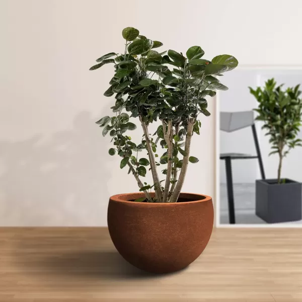 Kante 19.9",15.7",11.8" Dia Round Concrete Planter Set of 3, Outdoor/Indoor Large Bowl Plant Pots with Drainage Hole and Rubber Plug for Garden Patio Balcony Home, Pure White