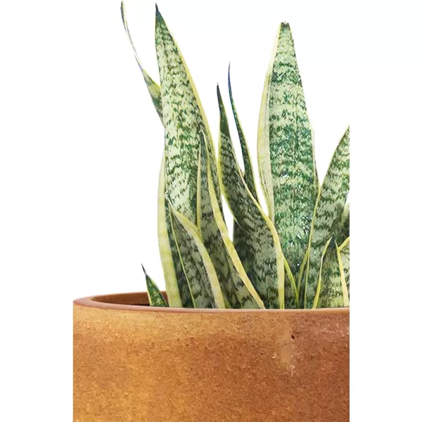 Kante 23.6" H Charcoal Concrete Tall Planters , Large Outdoor Indoor Decorative Plant Pots with Drainage Hole and Rubber Plug, Modern Style for Home and Garden