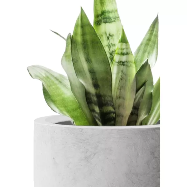 Kante 23.6" H Charcoal Concrete Tall Planters , Large Outdoor Indoor Decorative Plant Pots with Drainage Hole and Rubber Plug, Modern Style for Home and Garden
