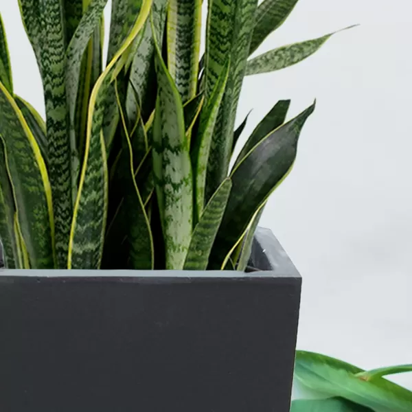 Kante 24.4",18.5",15.7" H Tall Tapered Concrete Planters , Large Outdoor Indoor Garden Pot with Drainage Hole and Rubber Plug, Modern Style for Home and Garden, Weathered Concrete Finish