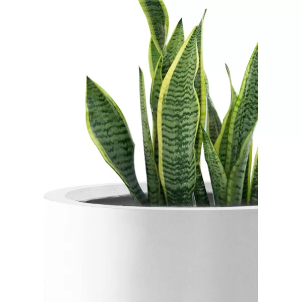 Kante 9.8" Dia Round Concrete Planter, Modern Style Large Cylindrical Plant Pot with Drainage Hole and Rubber Plug for Indoor Outdoor Patio, Pure White