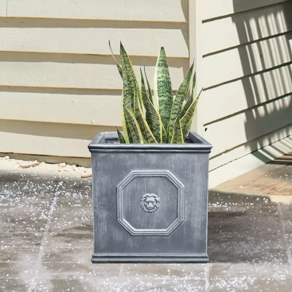 Kante Square Lion Head Concrete Planter, Classic English Style Plant Pot with Drainage Hole and Rubber Plug for Indoor Outdoor Garden Patio Home, 12.6"x12.6"x12.6" Oil Rubbed Bronze
