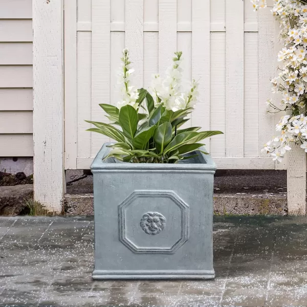 Kante Square Lion Head Concrete Planter, Classic English Style Plant Pot with Drainage Hole and Rubber Plug for Indoor Outdoor Garden Patio Home, 12.6"x12.6"x12.6" Oil Rubbed Bronze