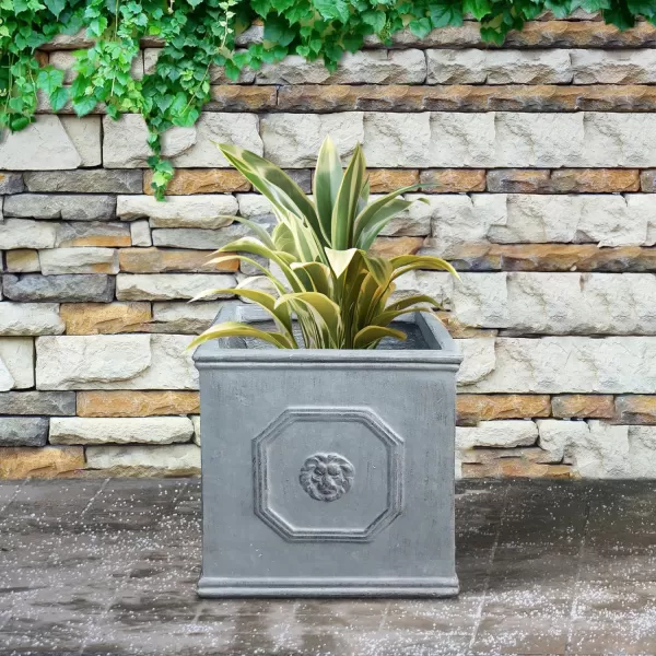 Kante Square Lion Head Concrete Planter, Classic English Style Plant Pot with Drainage Hole and Rubber Plug for Indoor Outdoor Garden Patio Home, 12.6"x12.6"x12.6" Oil Rubbed Bronze