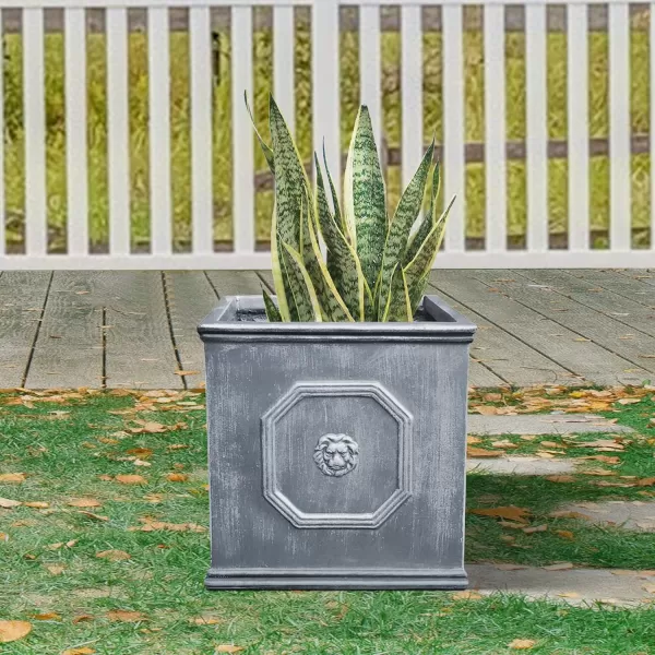 Kante Square Lion Head Concrete Planter, Classic English Style Plant Pot with Drainage Hole and Rubber Plug for Indoor Outdoor Garden Patio Home, 12.6"x12.6"x12.6" Oil Rubbed Bronze