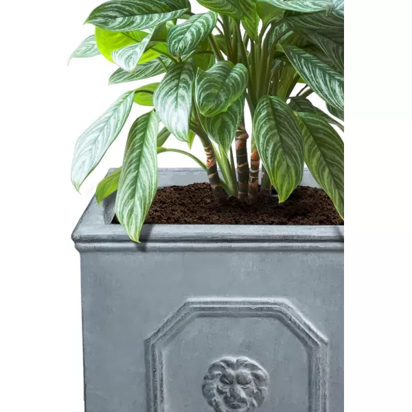 Kante Square Lion Head Concrete Planter, Classic English Style Plant Pot with Drainage Hole and Rubber Plug for Indoor Outdoor Garden Patio Home, 12.6"x12.6"x12.6" Oil Rubbed Bronze