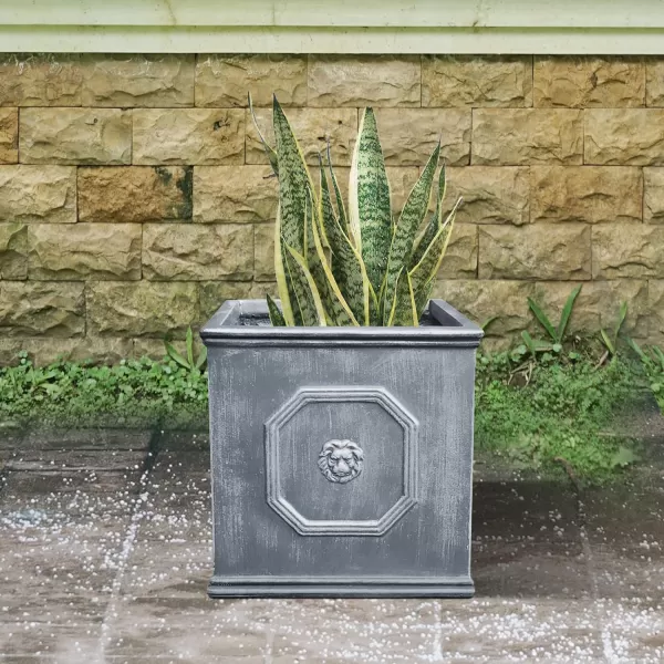 Kante Square Lion Head Concrete Planter, Classic English Style Plant Pot with Drainage Hole and Rubber Plug for Indoor Outdoor Garden Patio Home, 12.6"x12.6"x12.6" Oil Rubbed Bronze