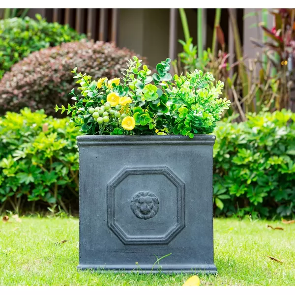Kante Square Lion Head Concrete Planter, Classic English Style Plant Pot with Drainage Hole and Rubber Plug for Indoor Outdoor Garden Patio Home, 12.6"x12.6"x12.6" Oil Rubbed Bronze