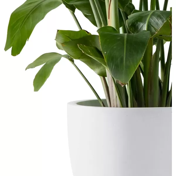 imageKante 20quot165quot134quot Dia Round Concrete Planters Set of 3 Outdoor Indoor Modern Decorative Plant Pots with Drainage Hole ampamp Rubber Plug for Home ampamp Garden Pure WhitePure White