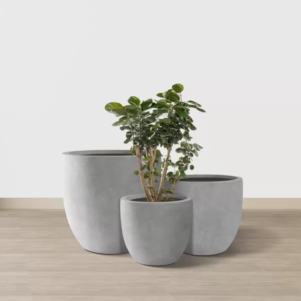imageKante 20quot165quot134quot Dia Round Concrete Planters Set of 3 Outdoor Indoor Modern Decorative Plant Pots with Drainage Hole ampamp Rubber Plug for Home ampamp Garden Pure WhiteNatural Concrete