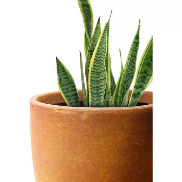 imageKante 20quot165quot134quot Dia Round Concrete Planters Set of 3 Outdoor Indoor Modern Decorative Plant Pots with Drainage Hole ampamp Rubber Plug for Home ampamp Garden Pure WhiteIron Oxide