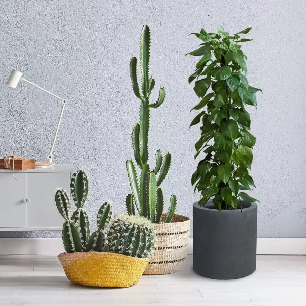 imageKante RC0119ABCC80011 Set of 3 Lightweight Concrete Modern Cylinder Outdoor Planters 158 129 and 98 Inch Diameter Pure WhiteCharcoal