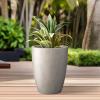 imageKante 181quot205quot224quot H Tall Round Concrete Planters Set of 3 Outdoor Indoor Modern Decorative Plant Pots with Drainage Hole ampamp Rubber Plug for Home ampamp Garden Pure WhiteWeathered Concrete