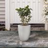 imageKante 181quot205quot224quot H Tall Round Concrete Planters Set of 3 Outdoor Indoor Modern Decorative Plant Pots with Drainage Hole ampamp Rubber Plug for Home ampamp Garden Pure WhitePure White