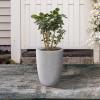 imageKante 181quot205quot224quot H Tall Round Concrete Planters Set of 3 Outdoor Indoor Modern Decorative Plant Pots with Drainage Hole ampamp Rubber Plug for Home ampamp Garden Pure WhiteNatural Concrete