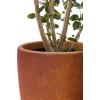 imageKante 181quot205quot224quot H Tall Round Concrete Planters Set of 3 Outdoor Indoor Modern Decorative Plant Pots with Drainage Hole ampamp Rubber Plug for Home ampamp Garden Pure WhiteIron Oxide